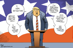 TRUMP SAYS HE WON? by Bruce Plante