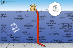 TRUMP BUILT THE WALL by Bruce Plante