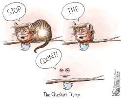 VOTE COUNTING by Adam Zyglis