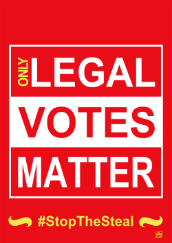 ONLY LEGAL VOTES MATTER by NEMØ