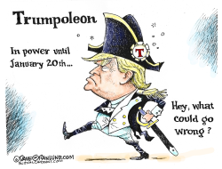 TRUMP REMAINING DAYS by Dave Granlund