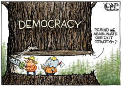 CHOPPING DEMOCRACY by Christopher Weyant