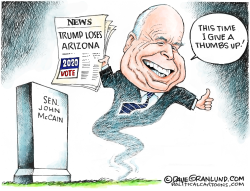 ARIZONA 2020 RESULTS AND JOHN MCCAIN by Dave Granlund