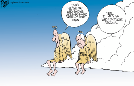 LOSING ARIZONA by Bruce Plante