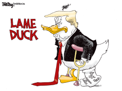 LAME DUCK by Bill Day