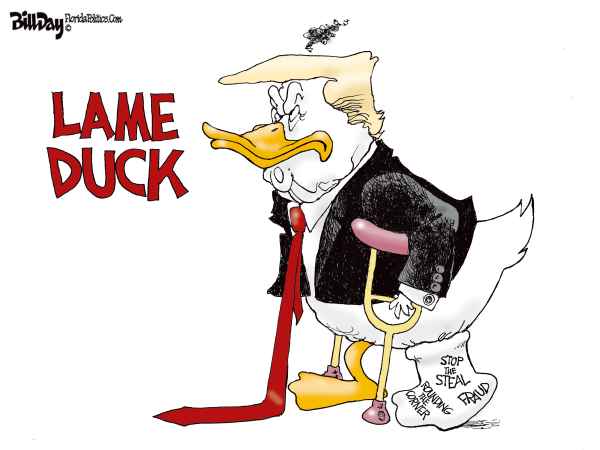 lame duck shirt