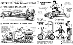 DO IT YOURSELF ALTERNATIVE FUEL VEHICLES by Andy Singer