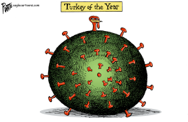 2020 TURKEY OF THE YEAR by Bruce Plante