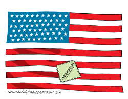FLAG WITH PATCH /  by Arcadio Esquivel