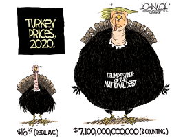 TURKEY PRICES 2020 by John Cole