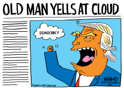 OLD MAN YELLS AT DEMOCRACY by Dave Whamond
