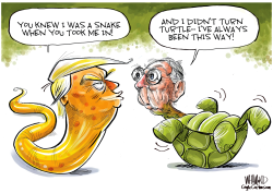 THE SNAKE AND THE TURTLE by Dave Whamond