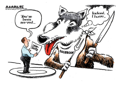 FACEBOOK LAWSUITS by Jimmy Margulies