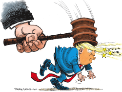 TRUMP AND COURT DECISION by Daryl Cagle