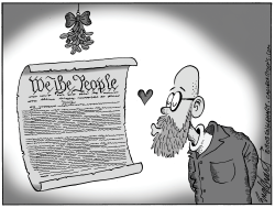 Love That Constitution by Bob Englehart