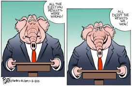 BOGUS ELECTION? by Bruce Plante