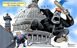 PRO-TRUMP RIOTERS AT US CAPITOL by Paresh Nath