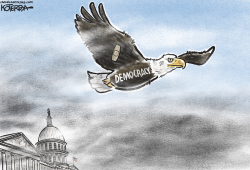 DEMOCRACY'S RETURN TO FLIGHT  by Jeff Koterba