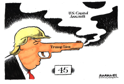 TRUMP AND U.S. CAPITOL ASSAULT by Jimmy Margulies