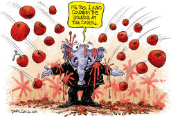 Sedition Tomatoes  by Daryl Cagle