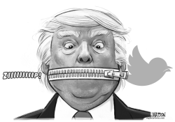 Twitter Bans Trump by R.J. Matson