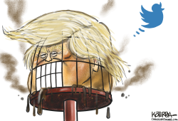 TRUMP AND TWITTER by Jeff Koterba