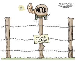 MCCONNELL STRANDED by John Cole