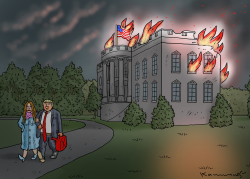 BURNING DOWN THE HOUSE by Marian Kamensky