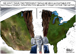 THE DIVIDED STATES OF AMERICA by Dave Whamond
