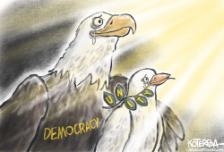 DEMOCRACY, UNITY, AND A RAY OF HOPE by Jeff Koterba