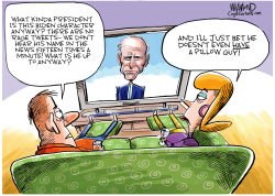 GETTING USED TO THE BIDEN PRESIDENCY by Dave Whamond