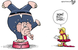 GOP’S MASTER by Bruce Plante