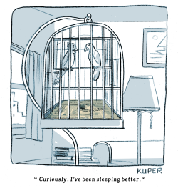 BIDEN BIRDS by Peter Kuper