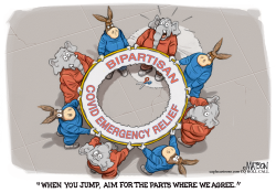 BIPARTISAN COVID EMERGENCY RELIEF by R.J. Matson