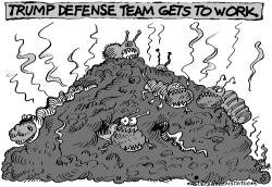 Trump Defense Team by Randall Enos