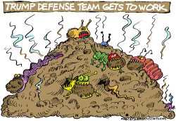 Trump Defense Team by Randall Enos