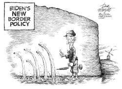 BIDEN'S NEW BORDER POLICY by Dick Wright