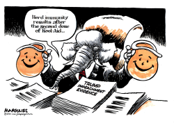 REPUBLICANS AND TRUMP IMPEACHMENT EVIDENCE by Jimmy Margulies