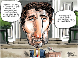 TRUDEAU VACCINE DISASTER by Dave Whamond