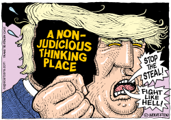 NON-JUDICIOUS THINKING PLACE by Monte Wolverton