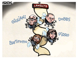 ELECTION LAWSUITS by Steve Sack