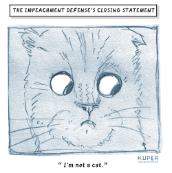 IMPEACHMENT DEFENSE'S CLOSING STATEMENT by Peter Kuper