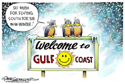 FREEZING SOUTH by Dave Granlund