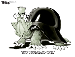 TURTLE MCCONNELL by Bill Day