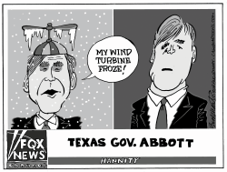 Texas Catastrophe by Bob Englehart