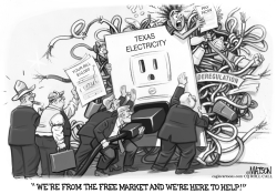 Free Market Messes Up Texas Electricity by R.J. Matson