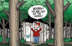 OUT OF THE WOODS? by Bruce Plante