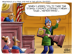 CAPITOL RIOTER TRIALS by Dave Whamond