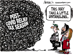 TANGLED TAXES by Steve Nease