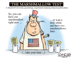 THE MARSHMALLOW TEST by John Cole